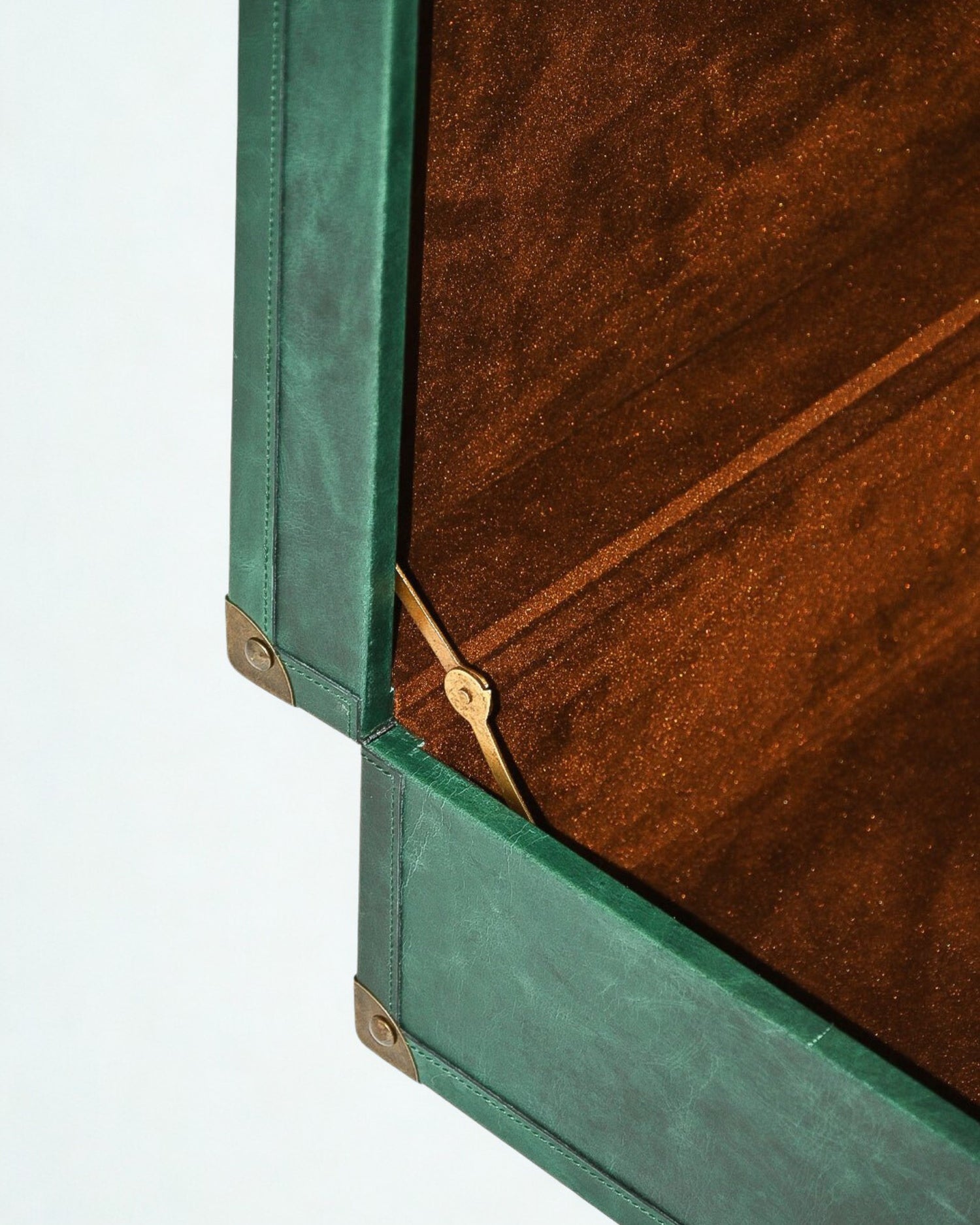 ELEGANT - LEATHER TRUNK