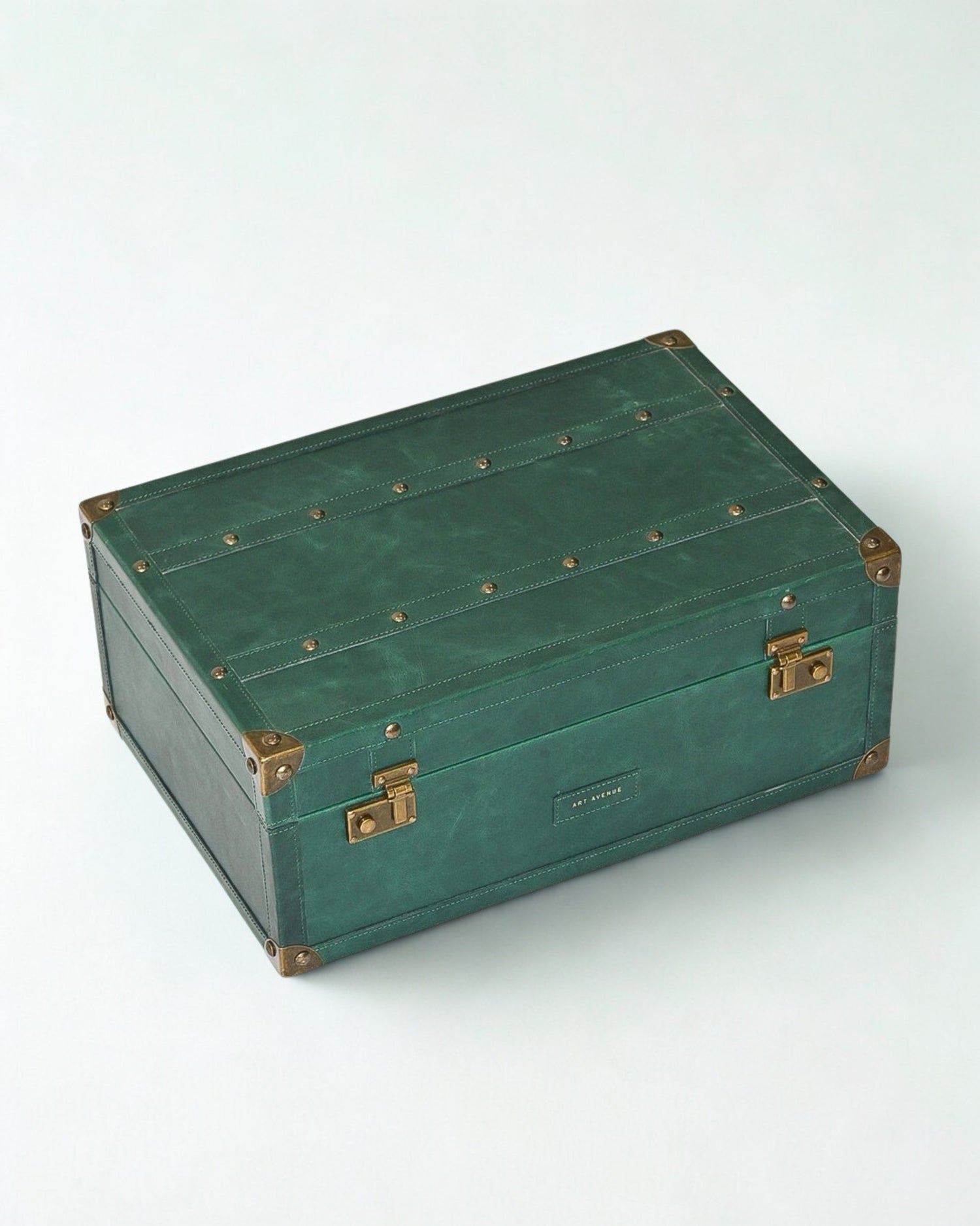 ELEGANT - LEATHER TRUNK