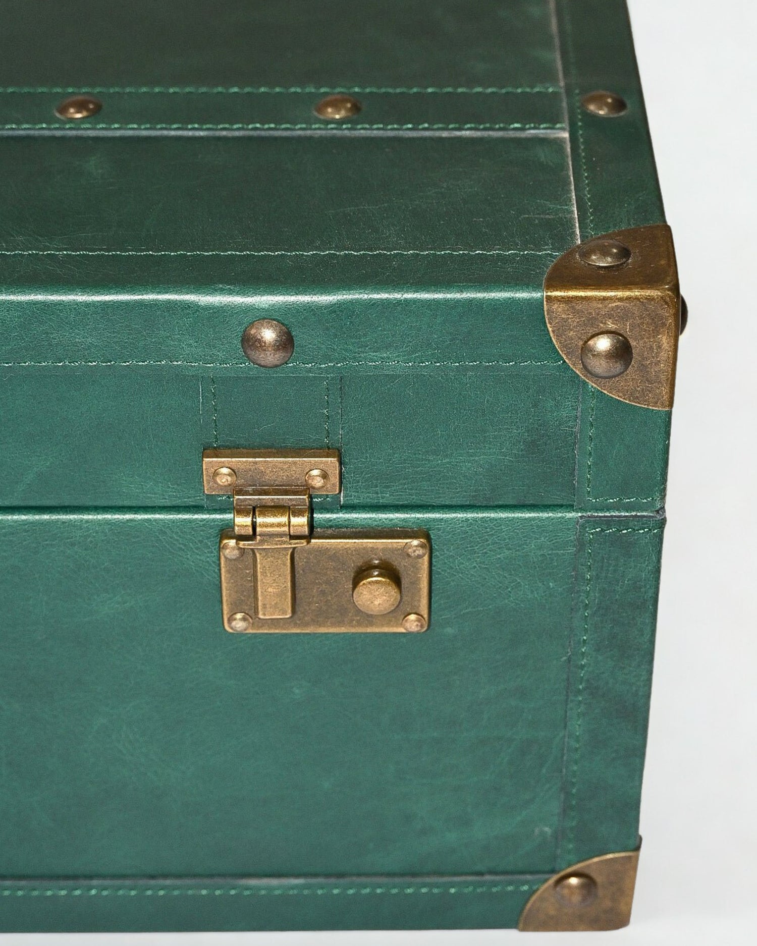 ELEGANT - LEATHER TRUNK