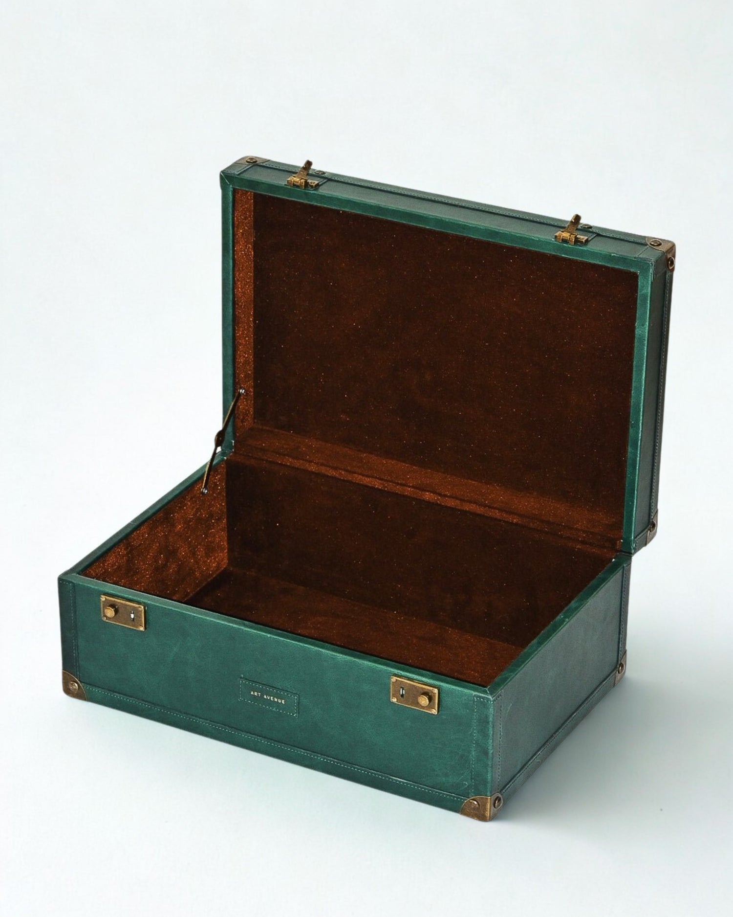 ELEGANT - LEATHER TRUNK