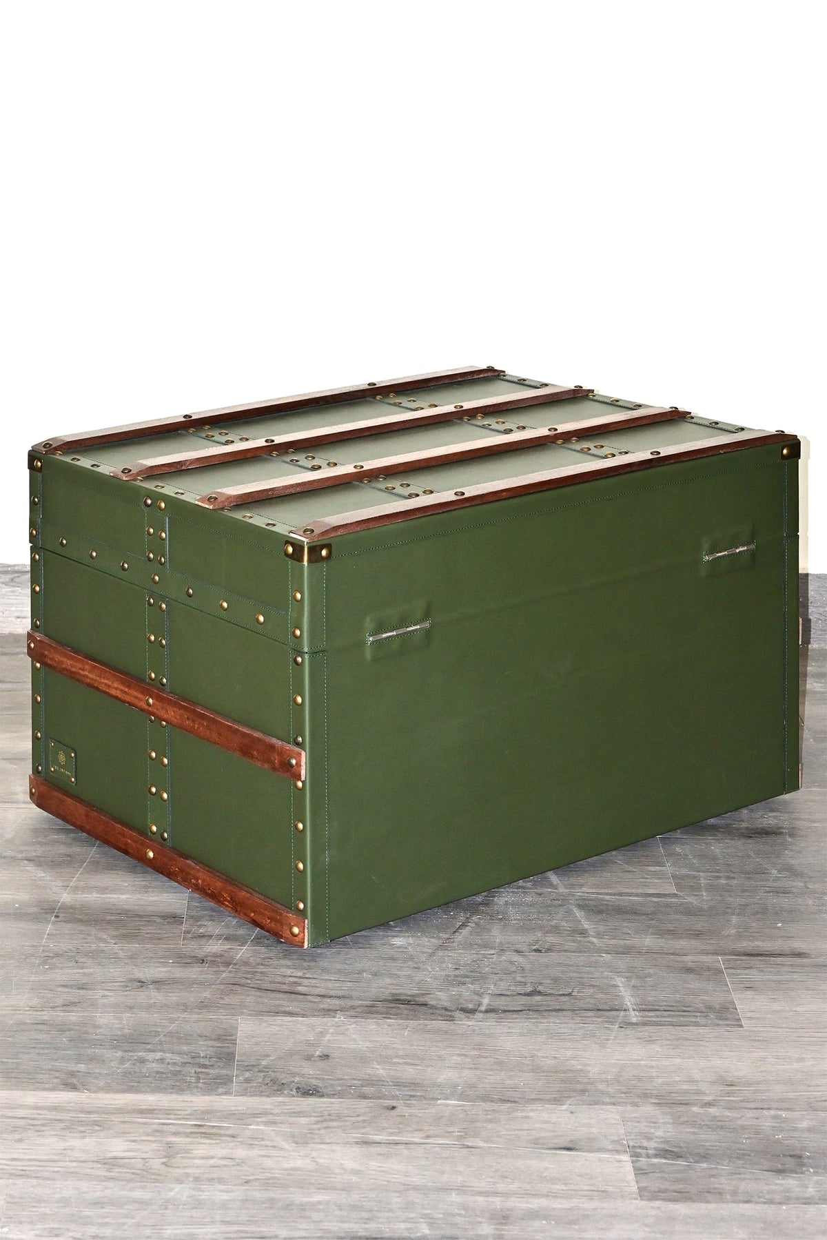 Rear view of the trunk showing plain leather back and lid hinges — Art Avenue