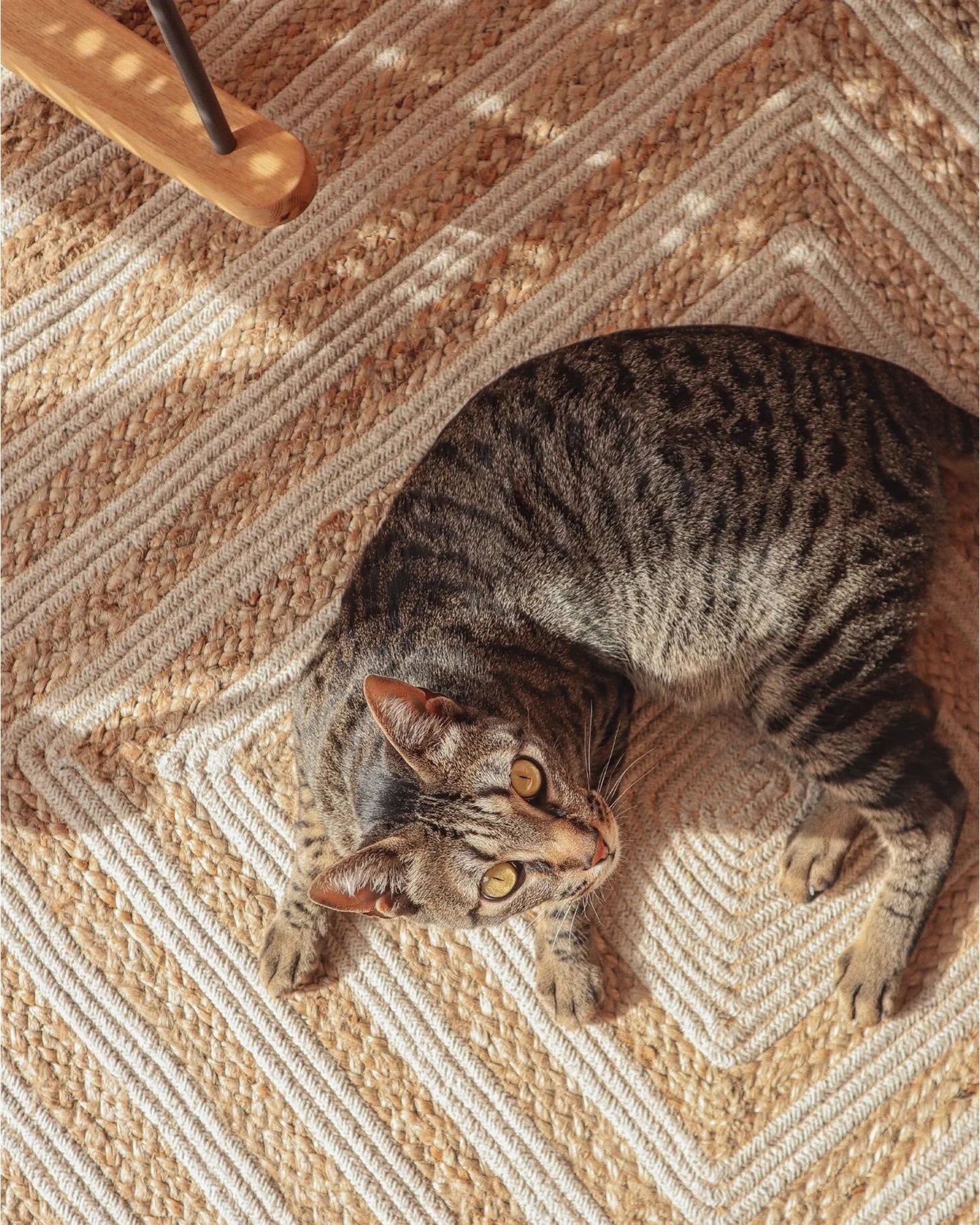 HEBE - JUTE BRAIDED RUG
