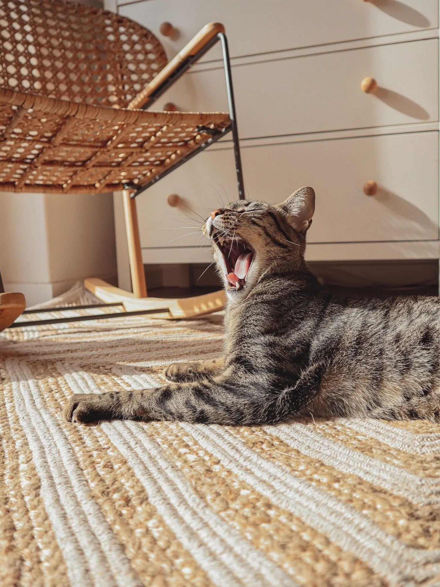 HEBE - JUTE BRAIDED RUG