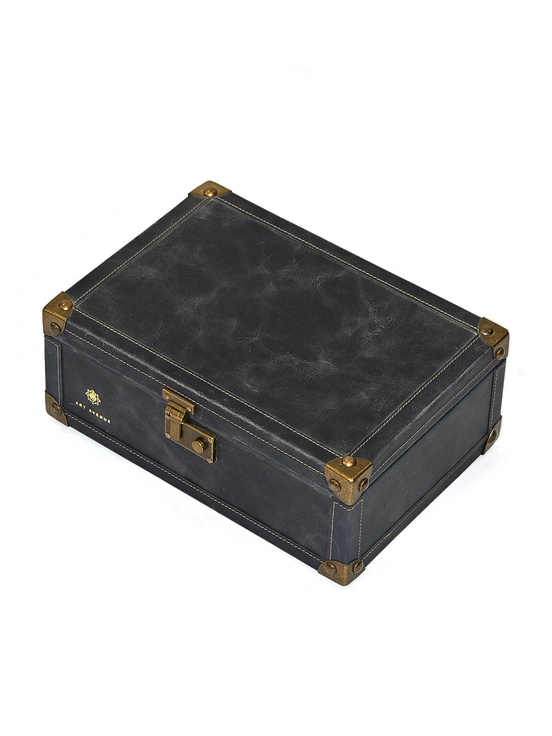 PALISH - LEATHER TRUNK - ART AVENUE