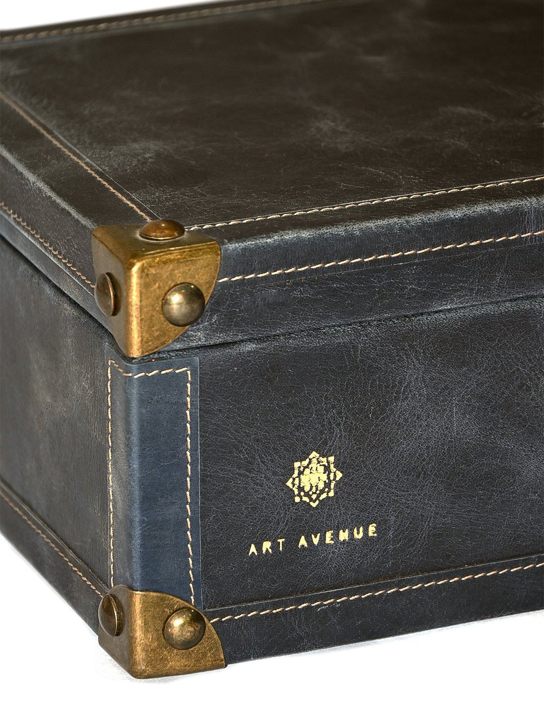 PALISH - LEATHER TRUNK - ART AVENUE
