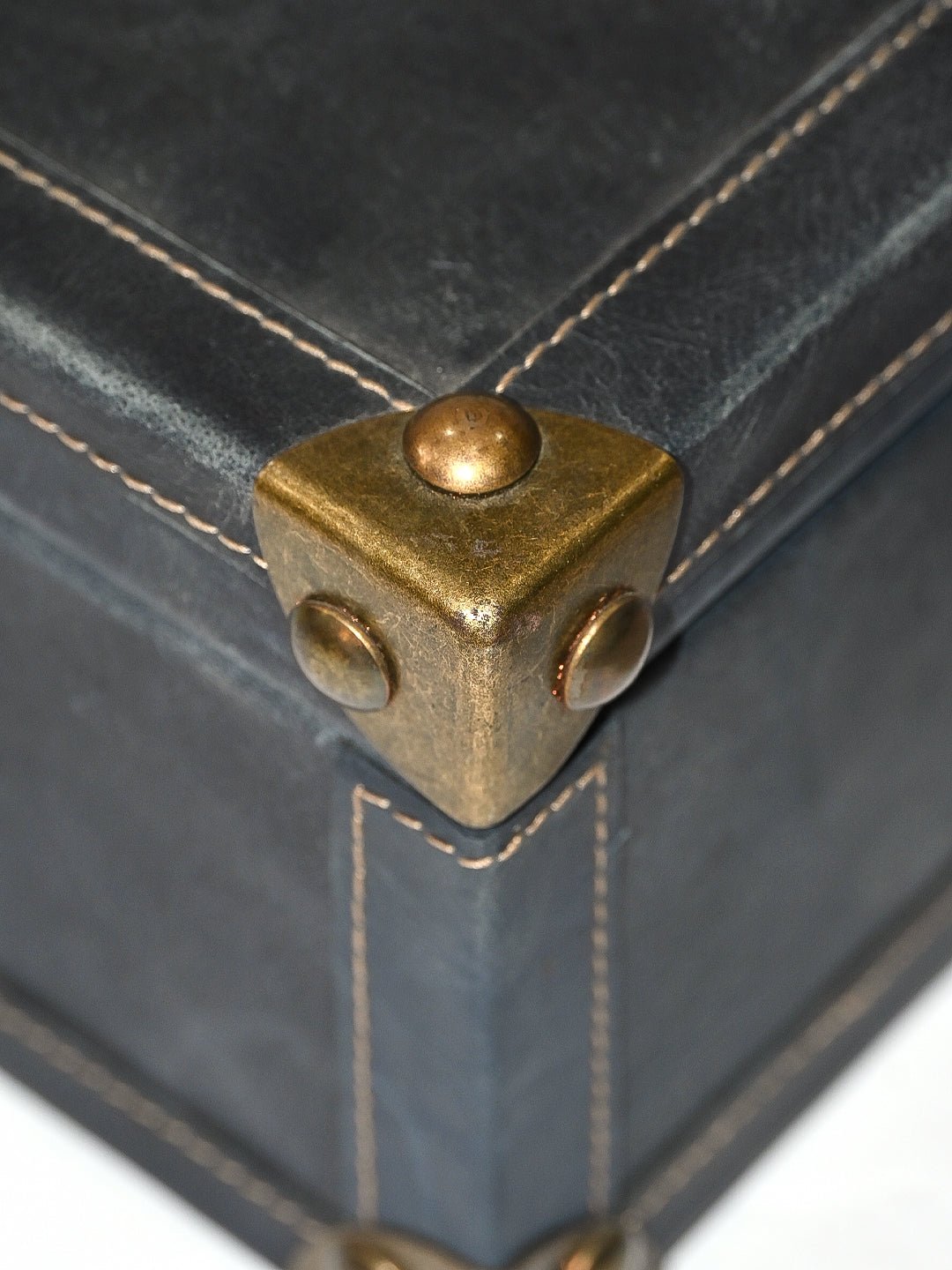 PALISH - LEATHER TRUNK - ART AVENUE