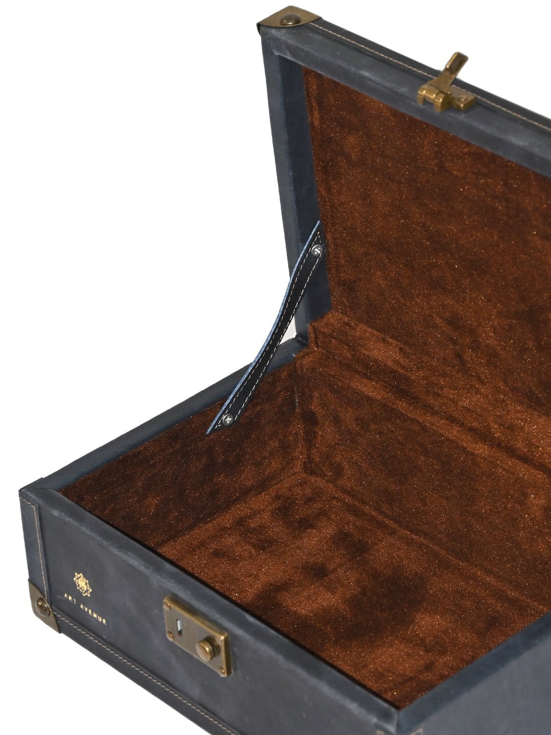 PALISH - LEATHER TRUNK - ART AVENUE