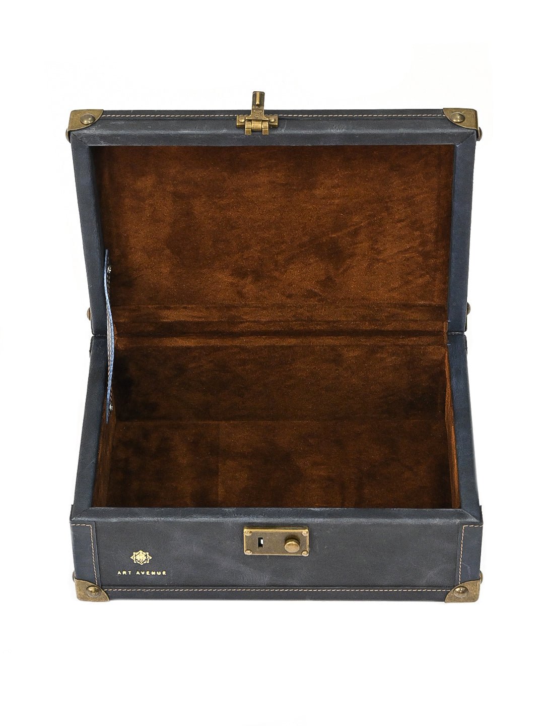 PALISH - LEATHER TRUNK - ART AVENUE