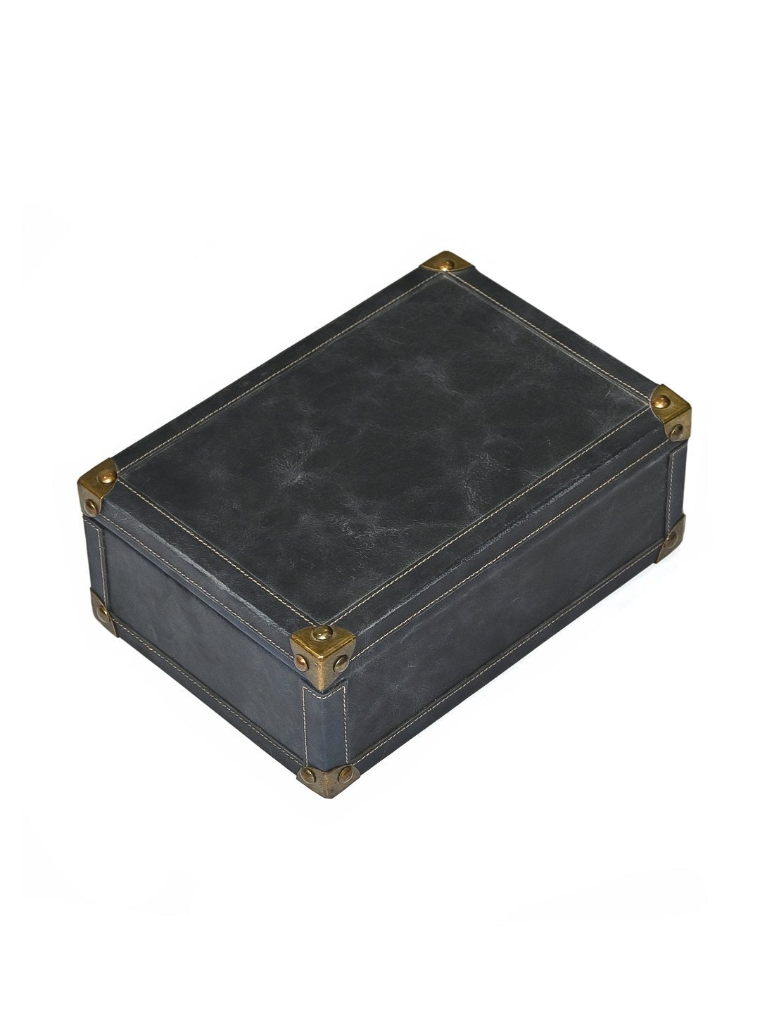 PALISH - LEATHER TRUNK - ART AVENUE