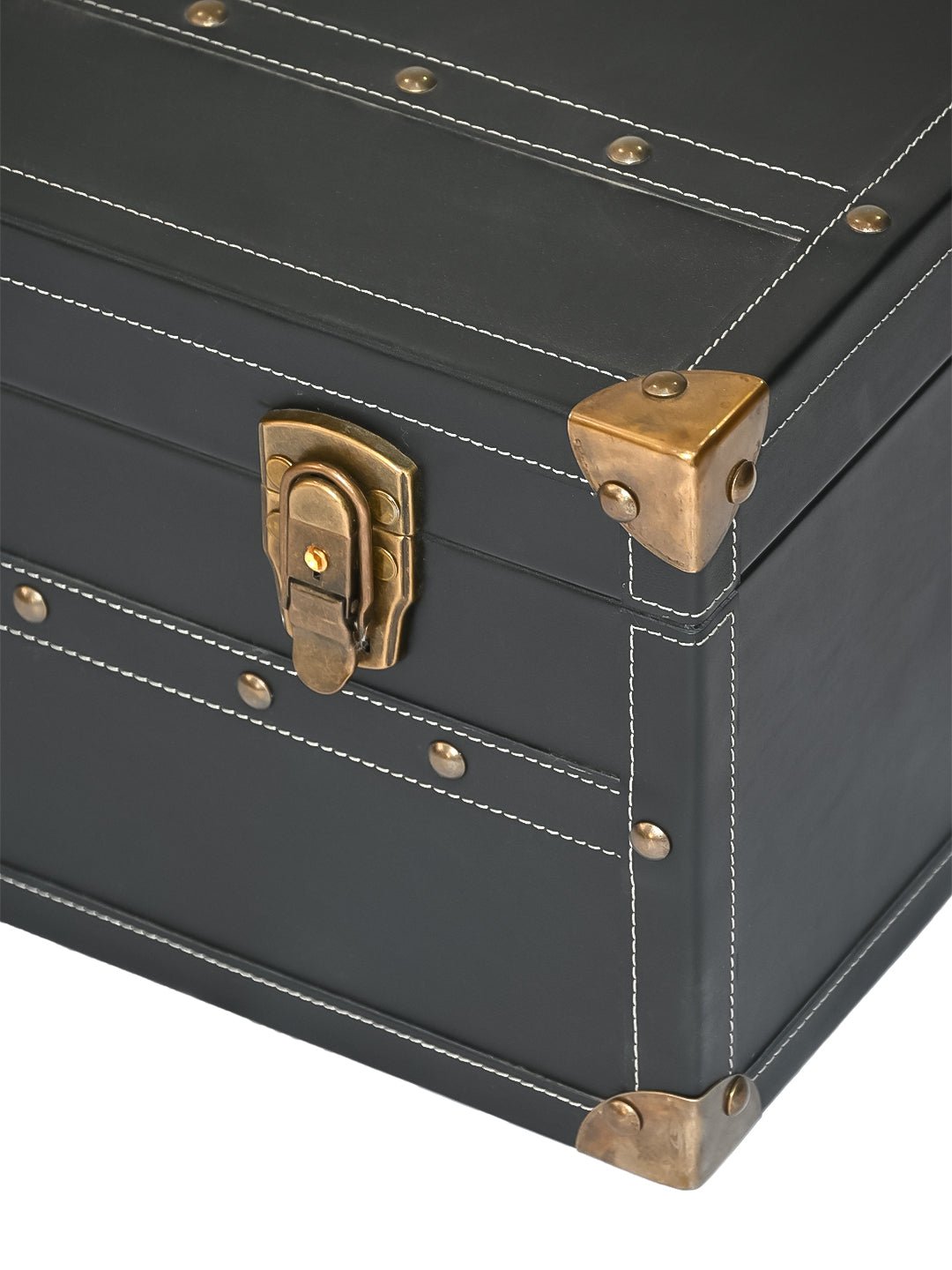 OBSIDIAN - LEATHER TRUNK - ART AVENUE