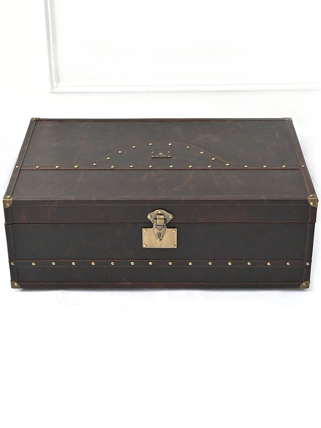 CORAL - LEATHER TRUNK - ART AVENUE