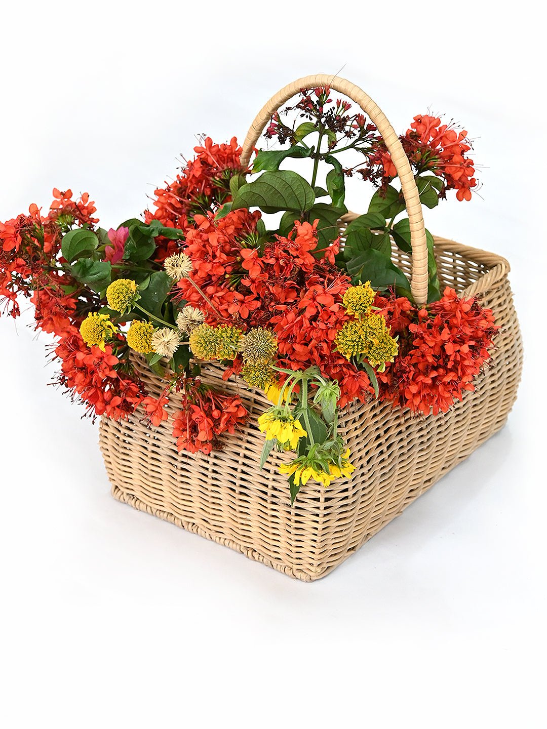 DRACEANA - MULTIPURPOSE JUTE BASKET - ART AVENUE
