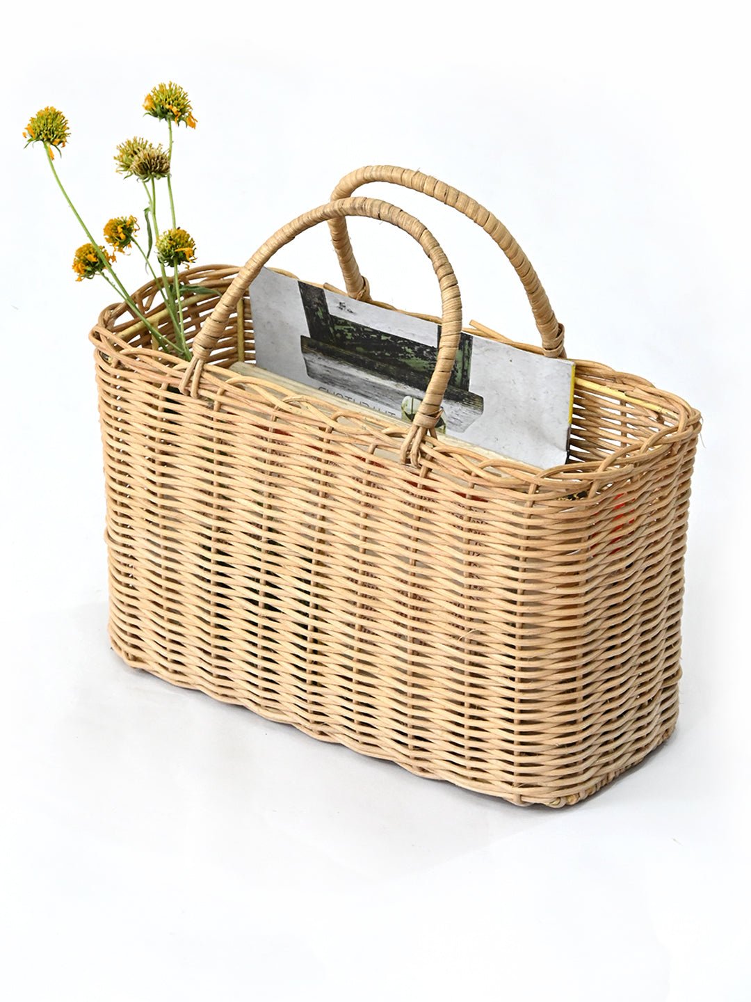 ORCHID -CANING & IRON STRUCTURE TOKRI - ART AVENUE