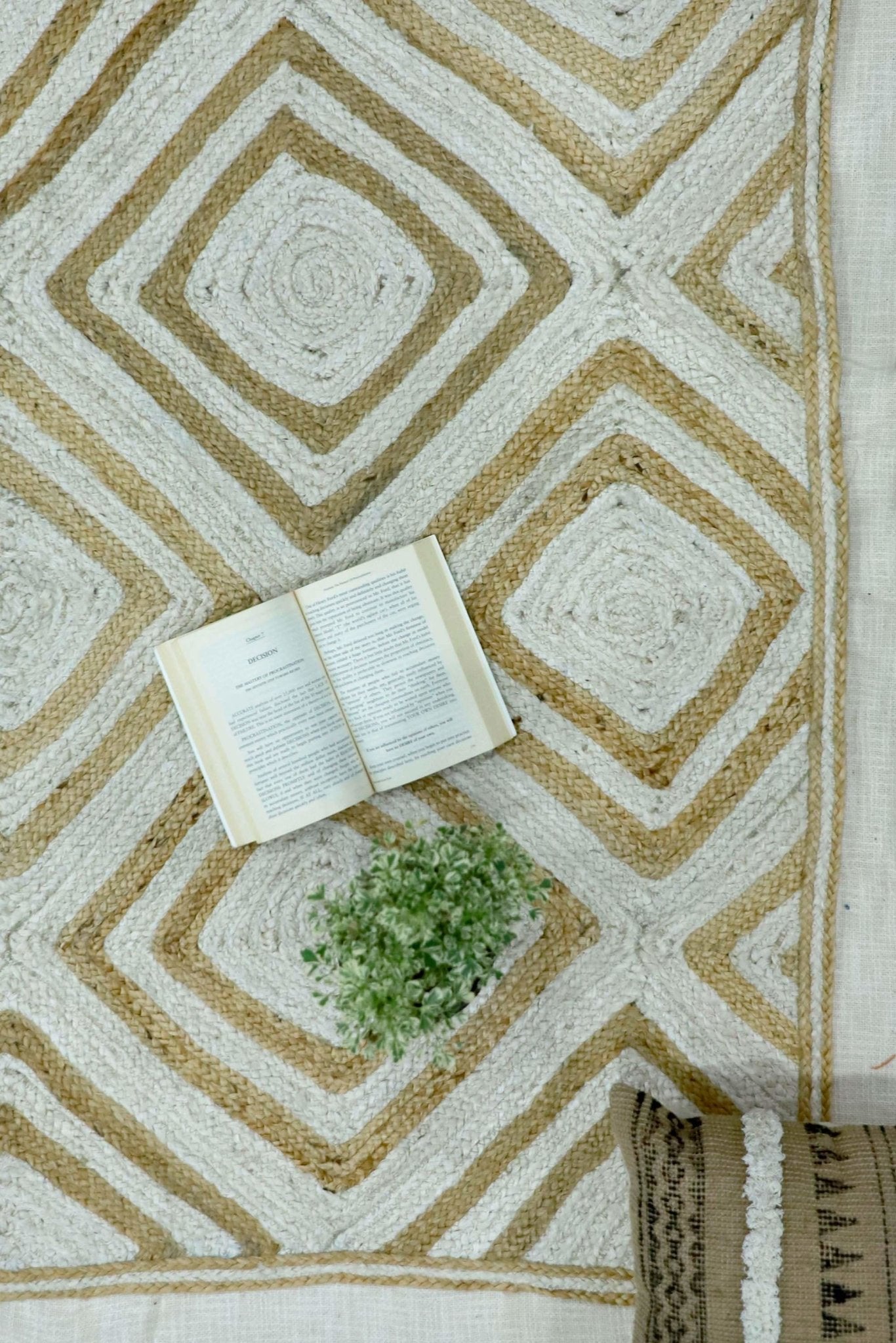 RECTANGULAR -BRAIDED RUG - BEIGE & WHITE - ART AVENUE