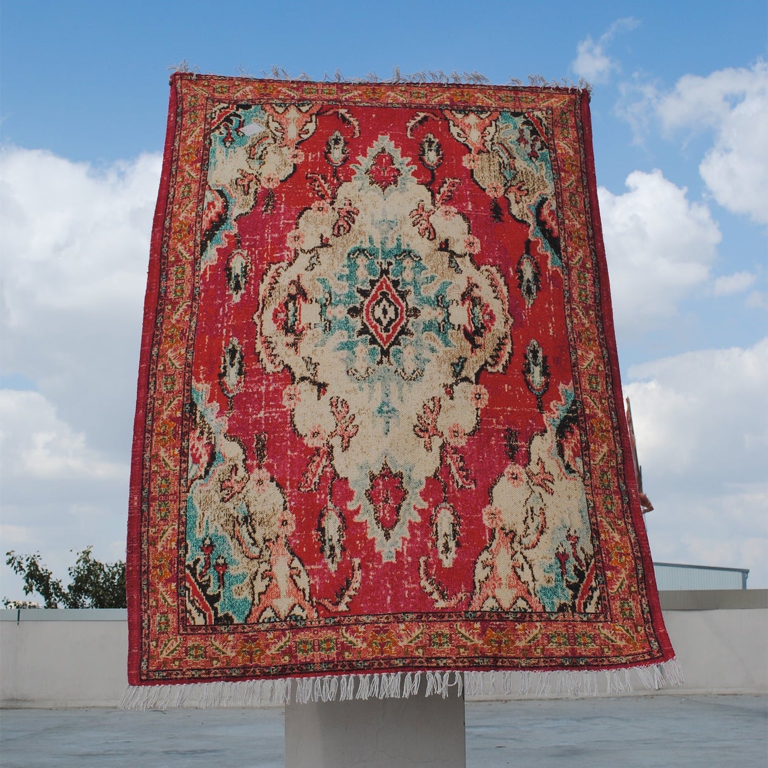 VELUTINA - PRINTED RUG - ART AVENUE