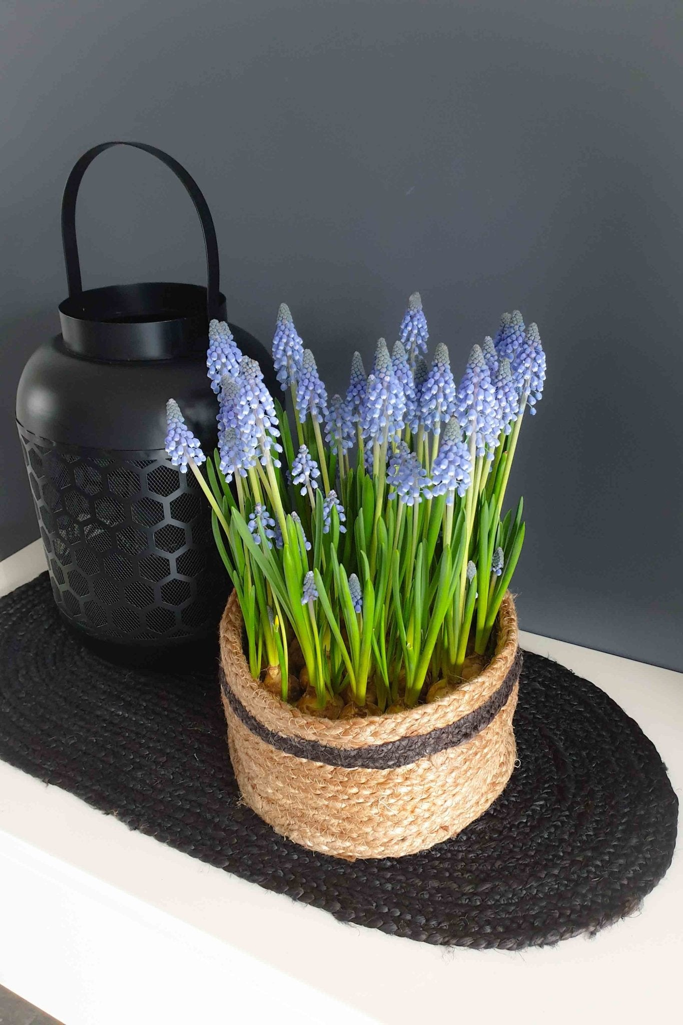VERVE - MULTIPURPOSE JUTE BASKET / Planter - ART AVENUE