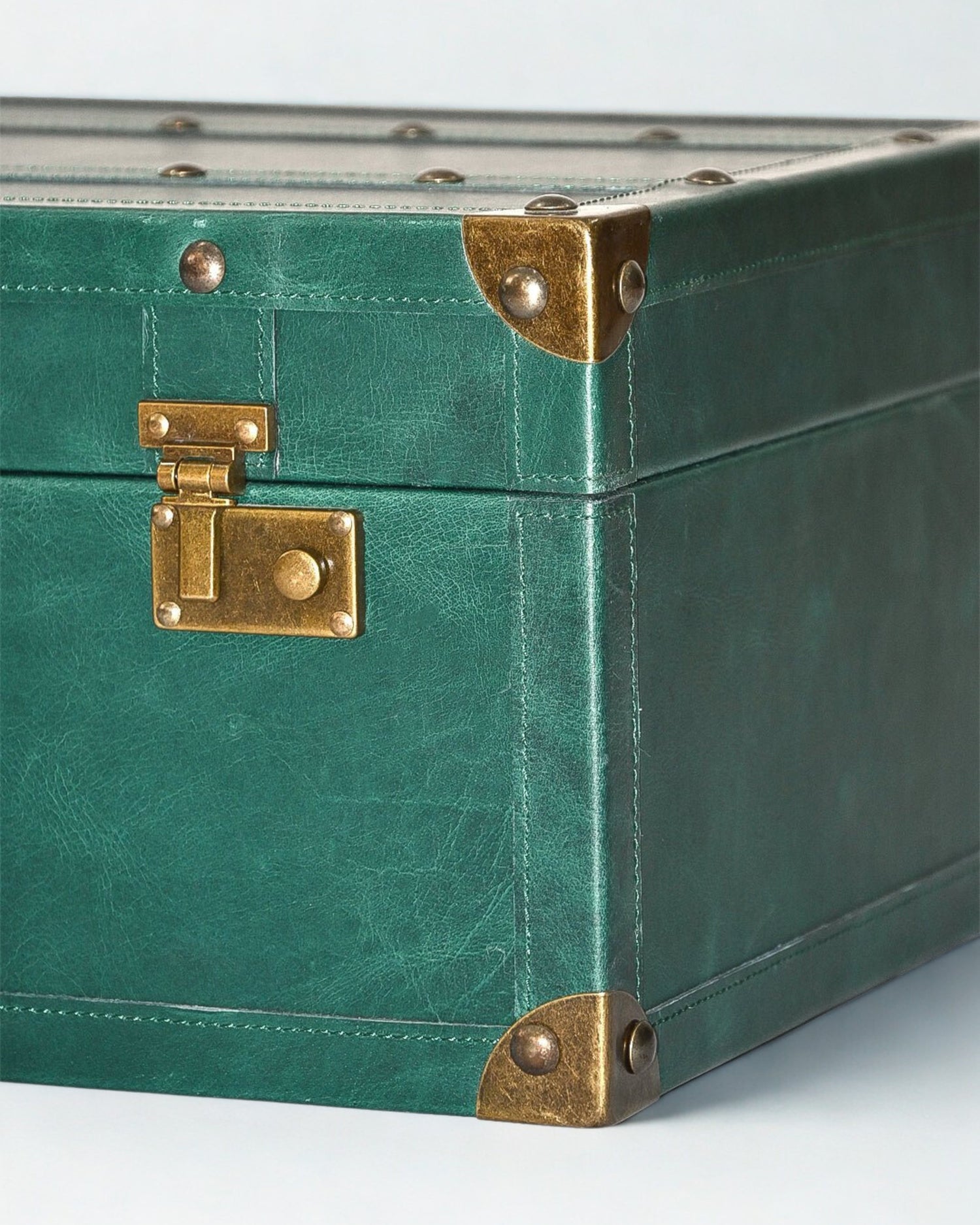 ELEGANT - LEATHER TRUNK