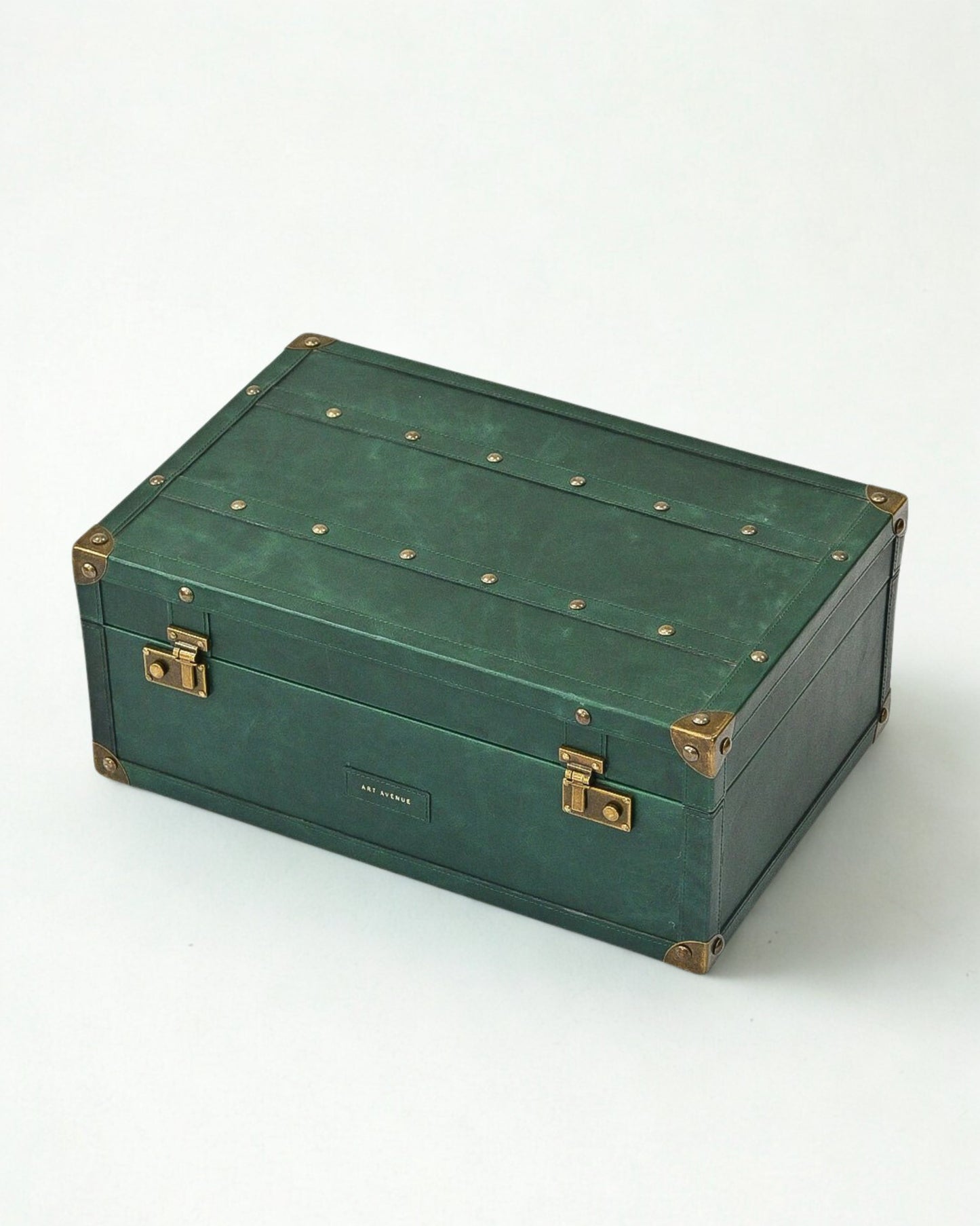 ELEGANT - LEATHER TRUNK