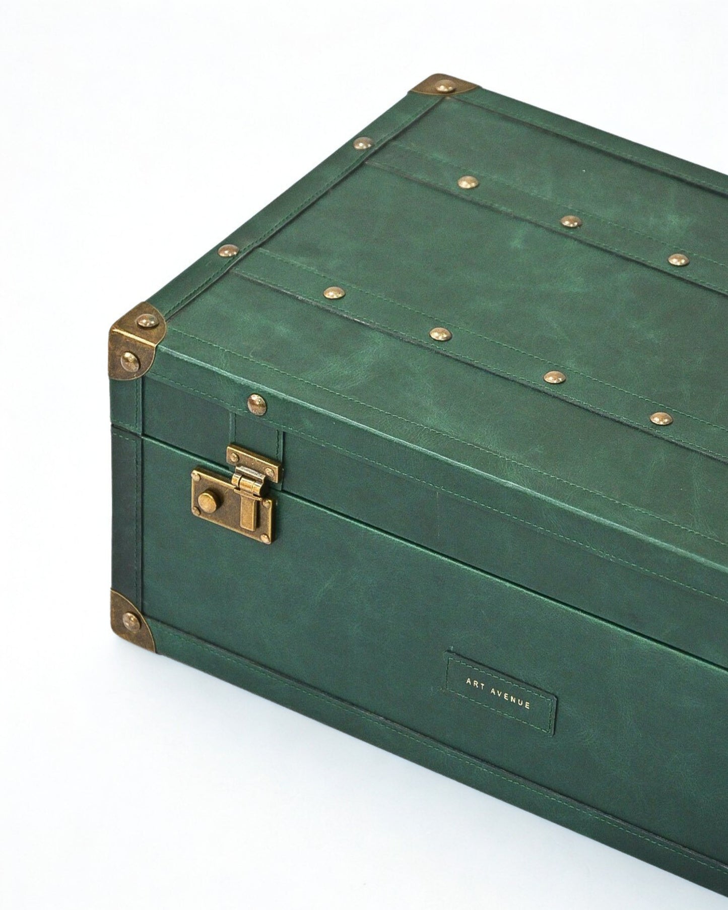 ELEGANT - LEATHER TRUNK