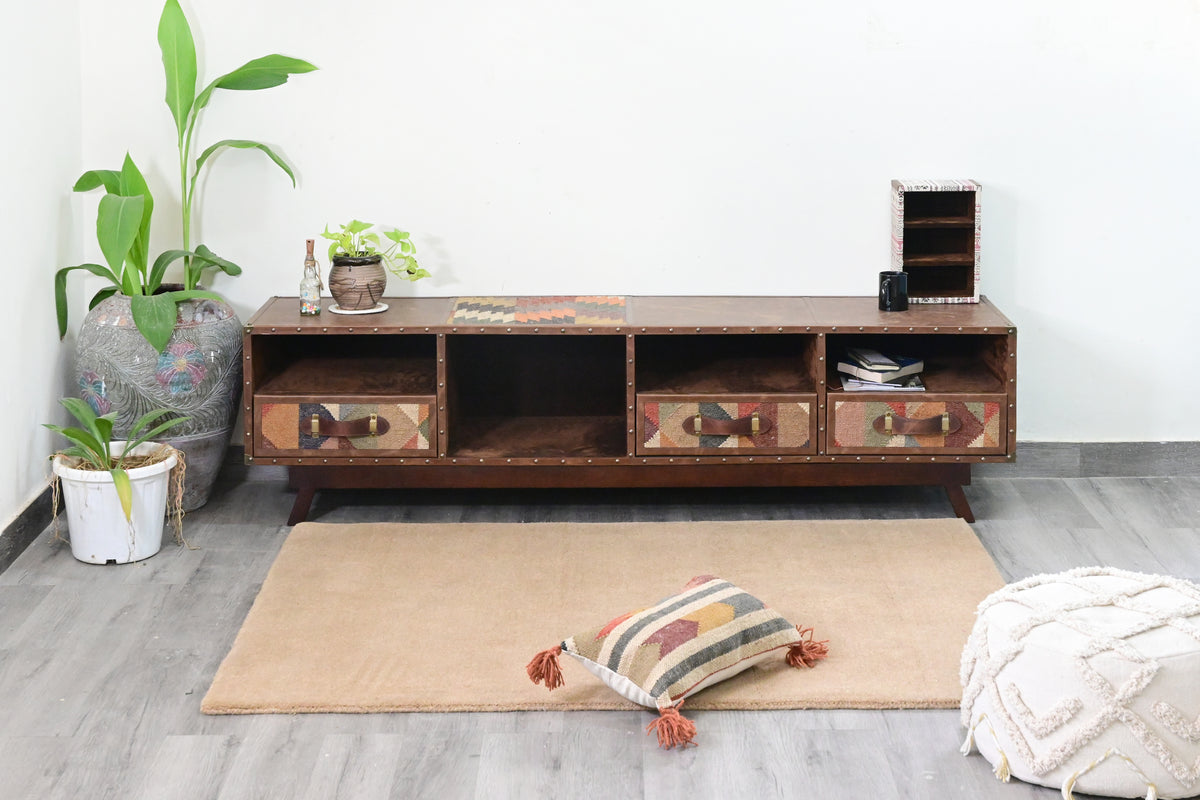 Ranakpur kilim and leather TV unit styled front-on with plants and books on its leather top