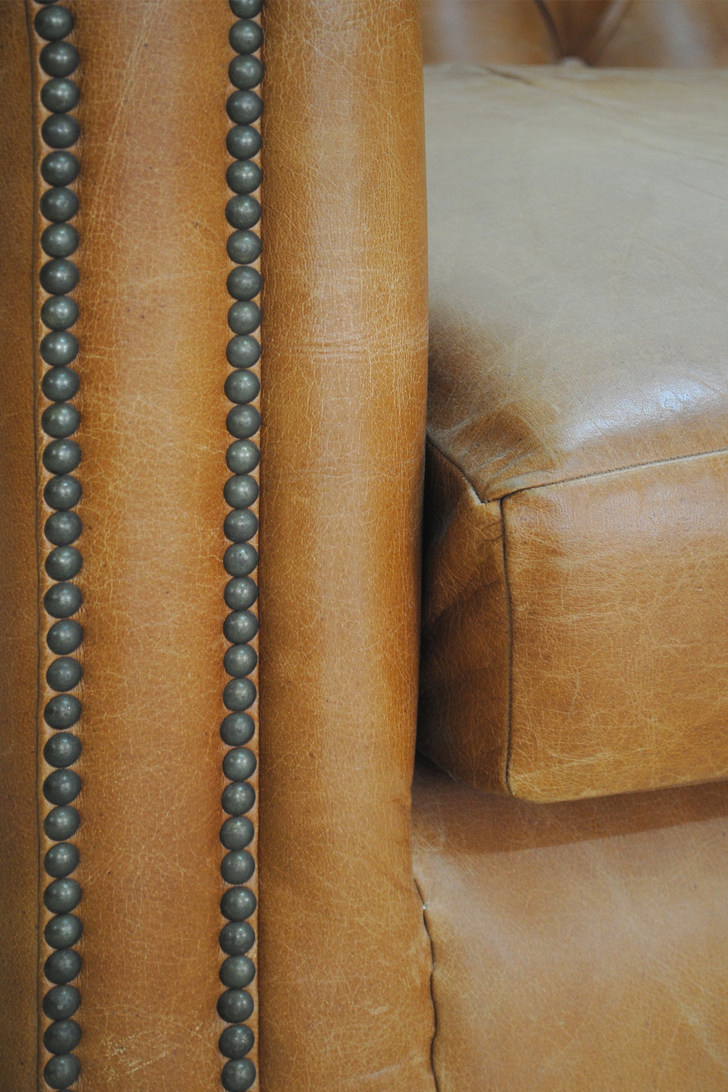 ARBOR LEATHER WING BACK ARM CHAIR