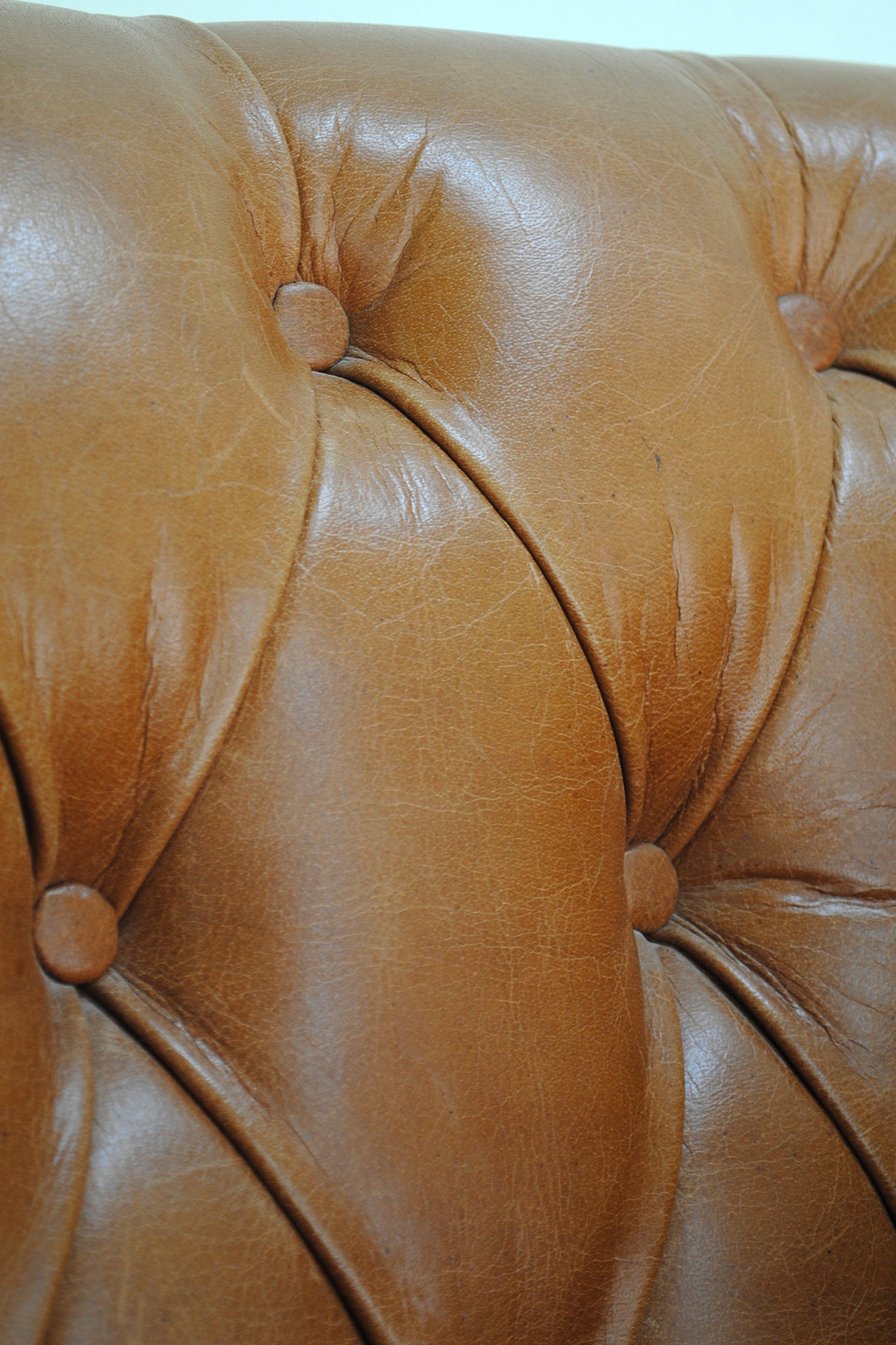 ARBOR LEATHER WING BACK ARM CHAIR
