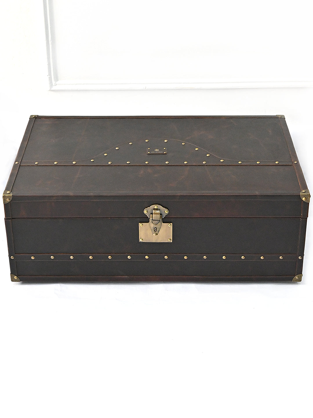 Jaisalmer Campaign Trunk — handcrafted leather storage trunk by Art Avenue, view 2