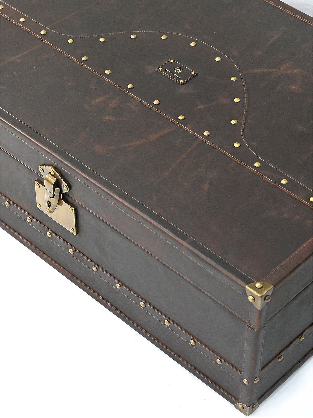 Jaisalmer Campaign Trunk — handcrafted leather storage trunk by Art Avenue, view 5
