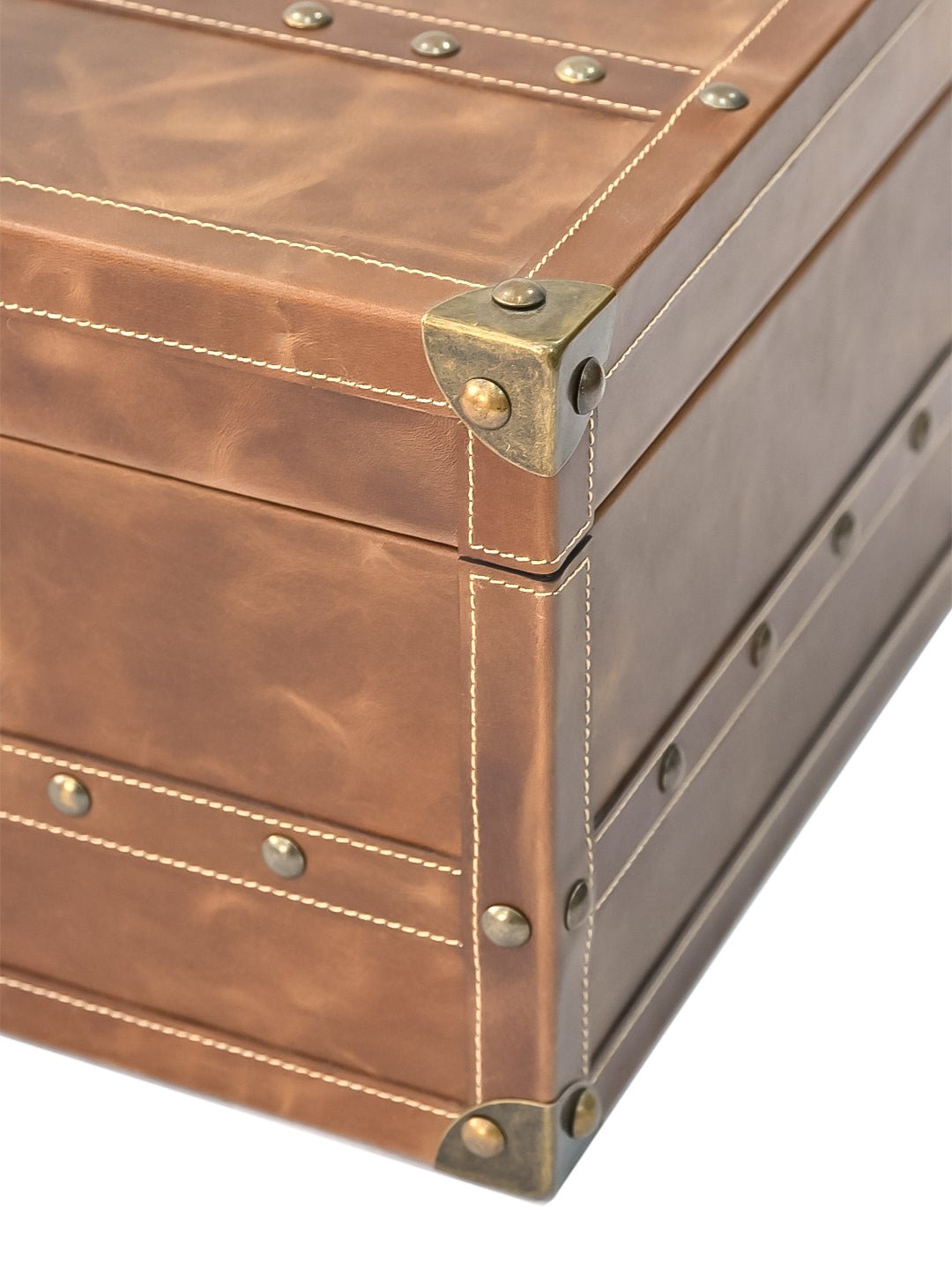 CORAL - LEATHER TRUNK - ART AVENUE